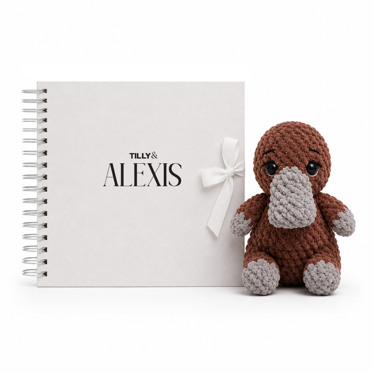Tilly & Me Chapter Kit
