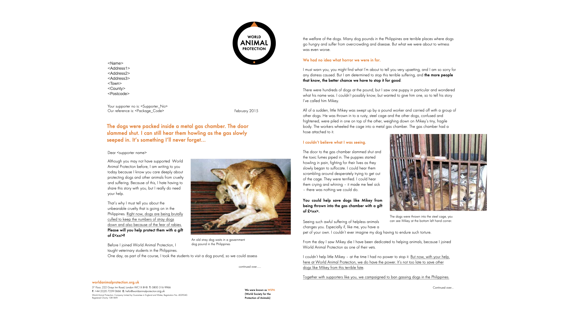 A letter from World Animal Protection about the rescue of dogs from a gas chamber, including photos of a dog and dogs caged in a steel enclosure.