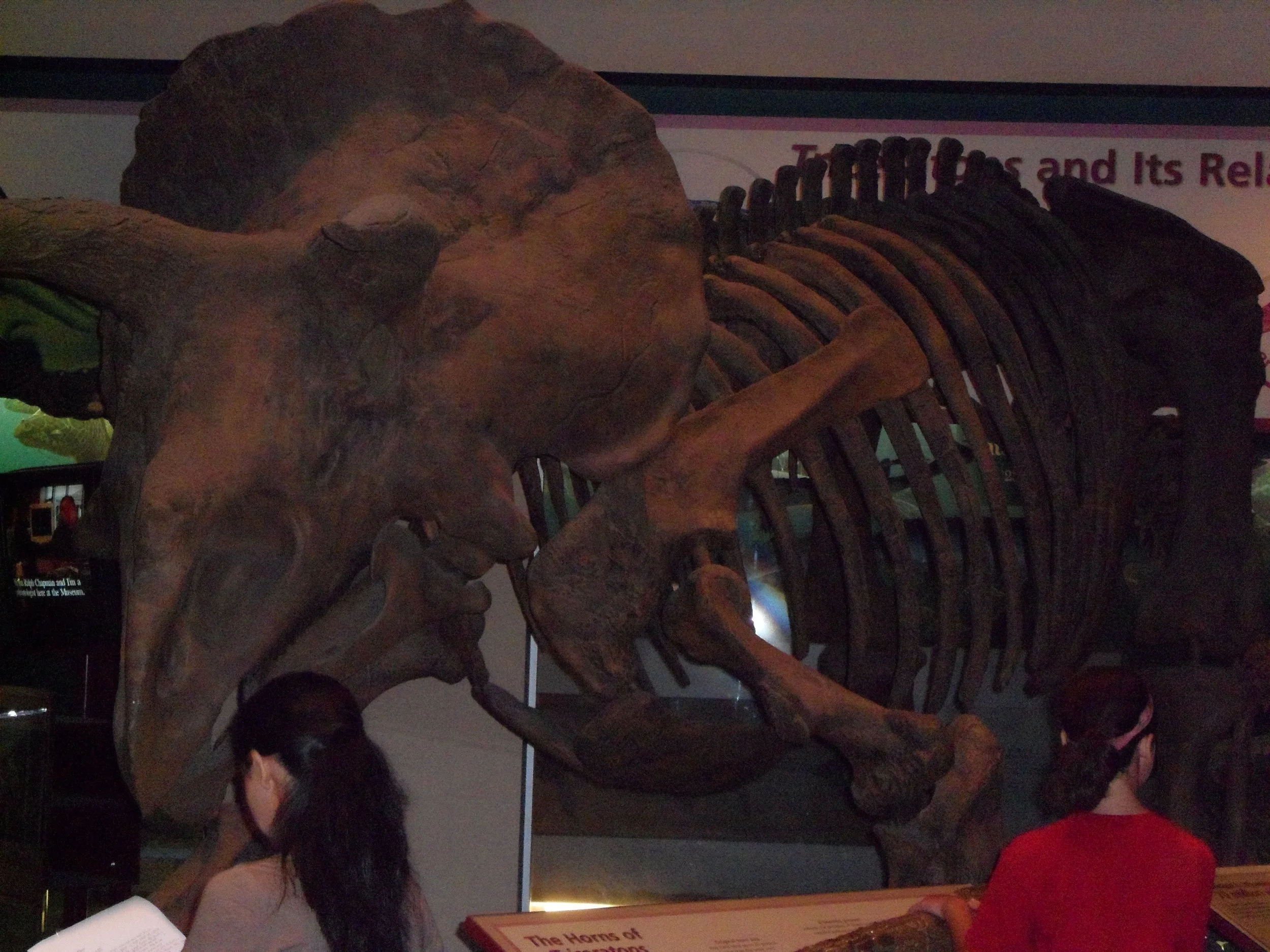 SAM_0336.JPG