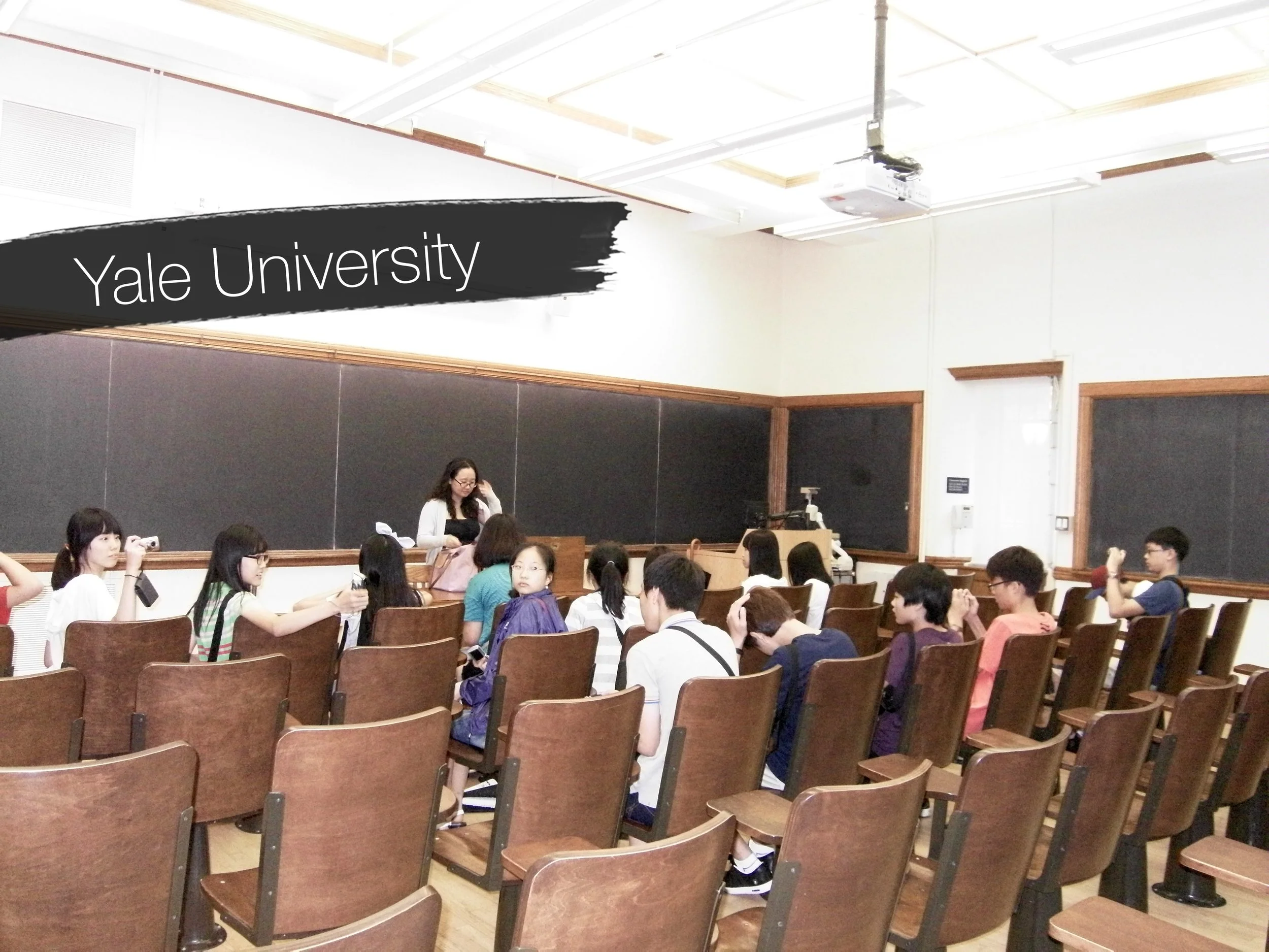 SDC11429_ti.jpg