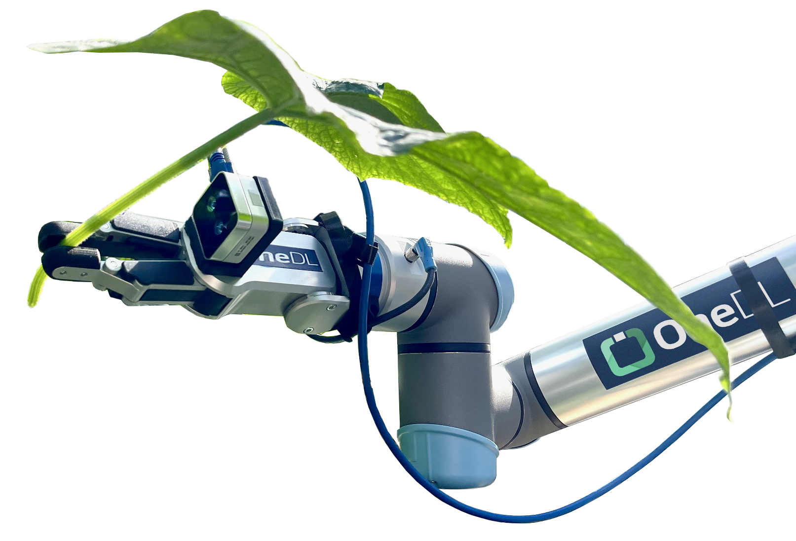 Close-up of a robotic arm with a leaf on top of it, featuring the Omni robot logo on the arm.