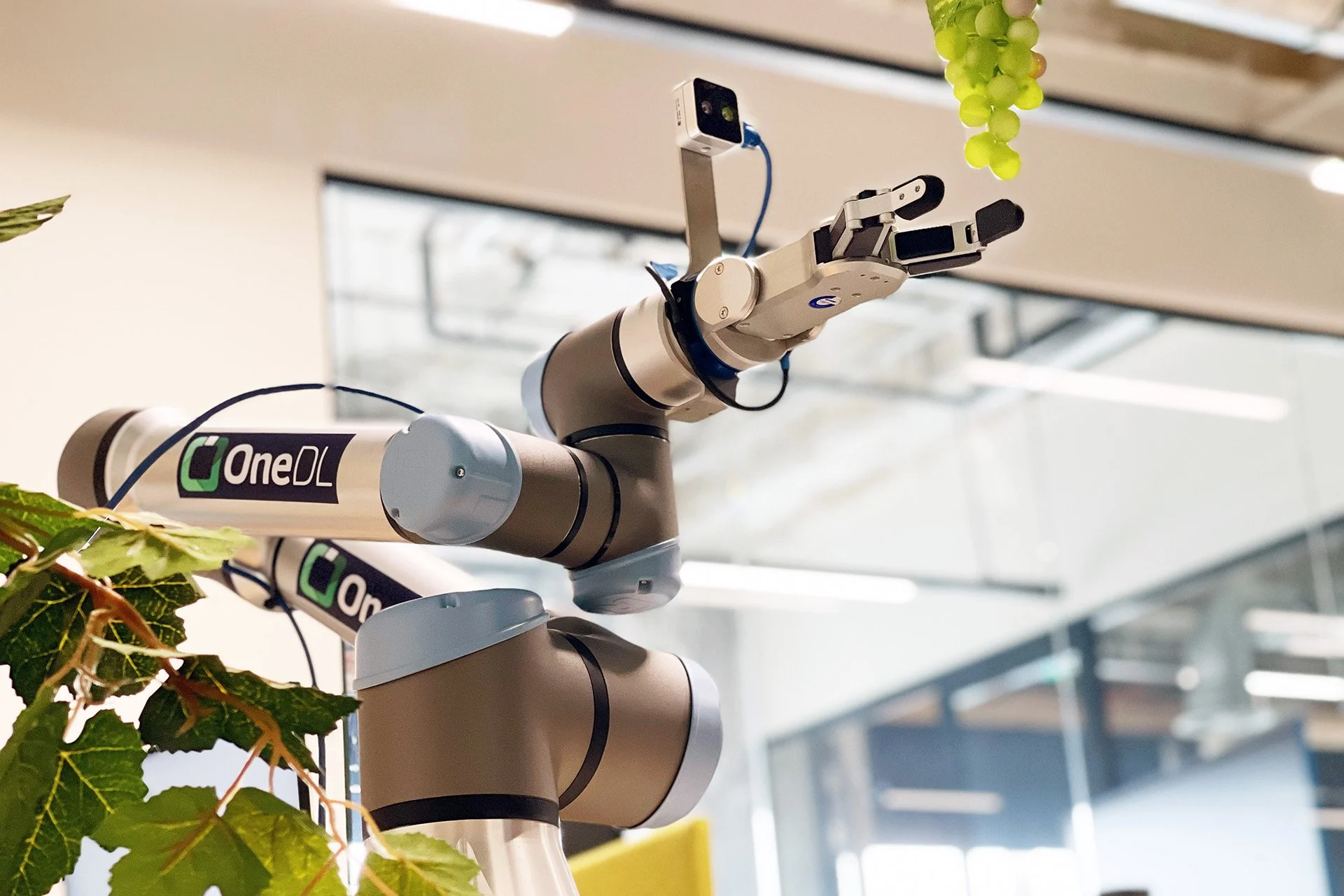 A robotic arm with a camera attached, operating among green leafy plants indoors.