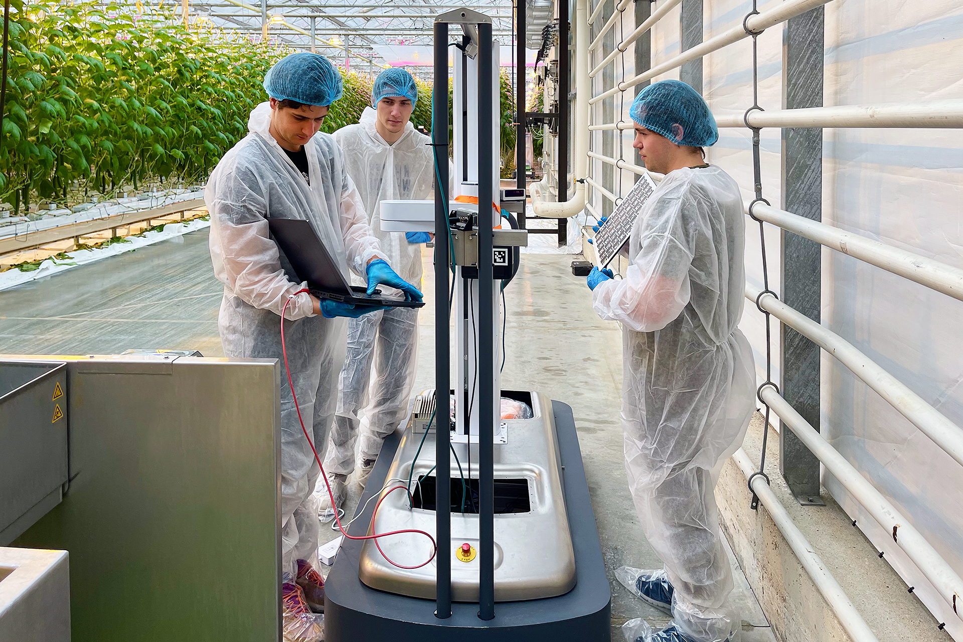 Scientists working in a greenhouse with plants on the left, dressed in protective suits, gloves, and hairnets, handling and examining scientific equipment.