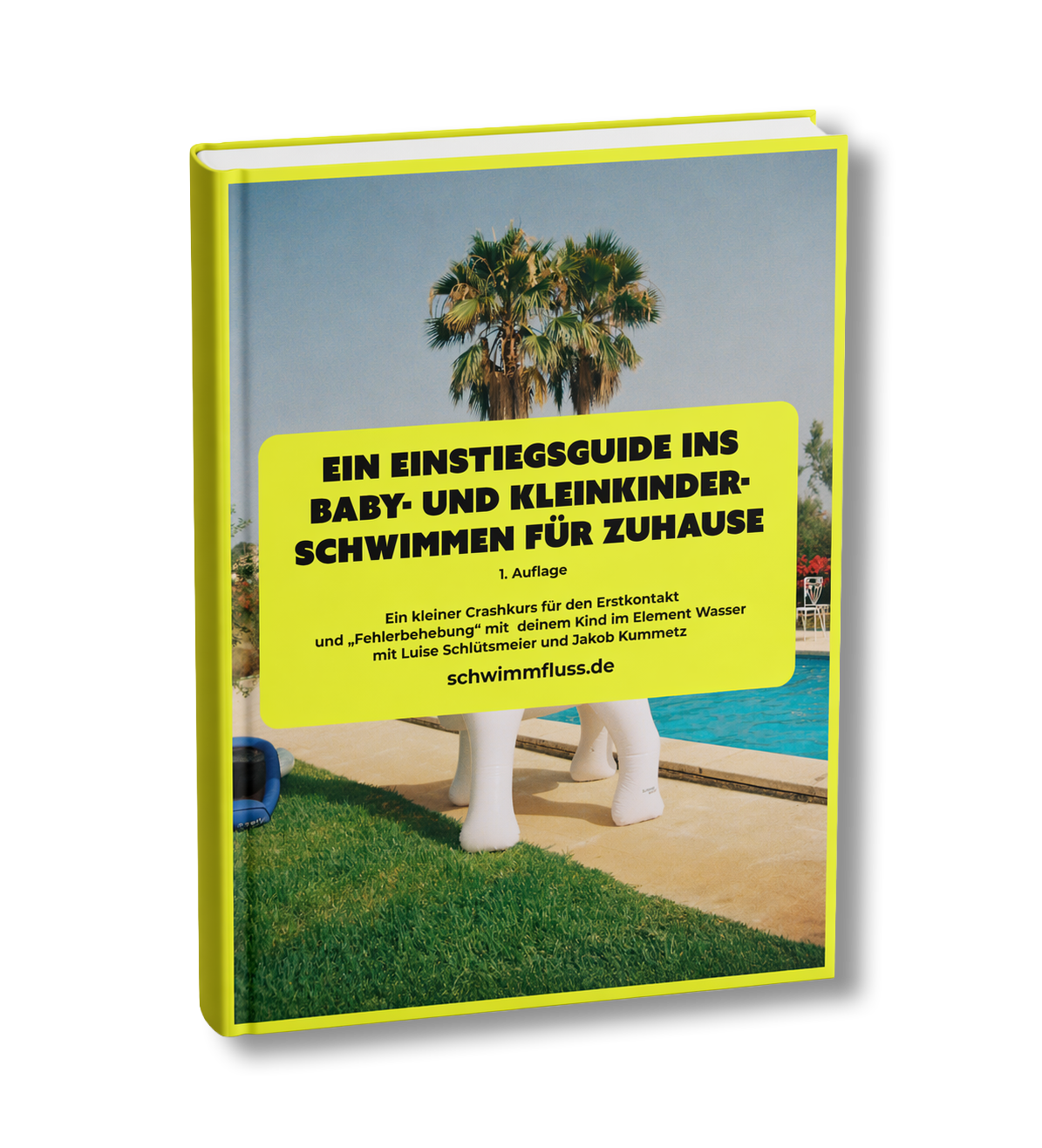 EIN EINSTIEGSGUIDE INS BABY- UND KLEINKINDER- SCHWIMMEN FÜR ZUHAUSE (e-guide für Zuhause)