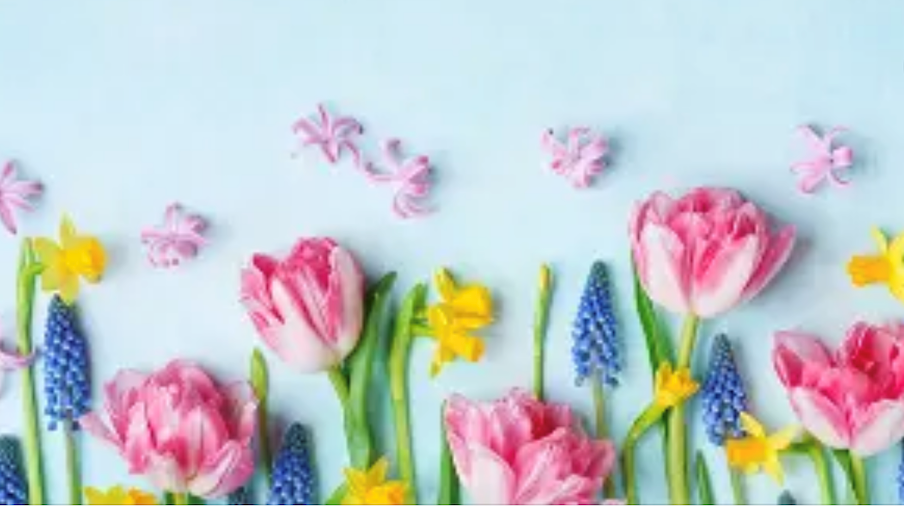 Spring Fling