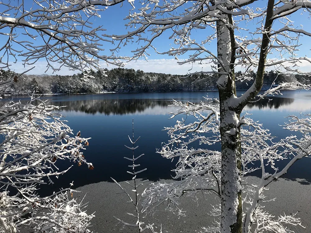 Winter 2020-2021