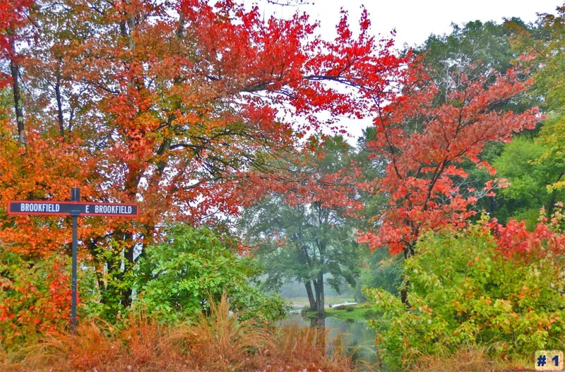 Autumn 2019