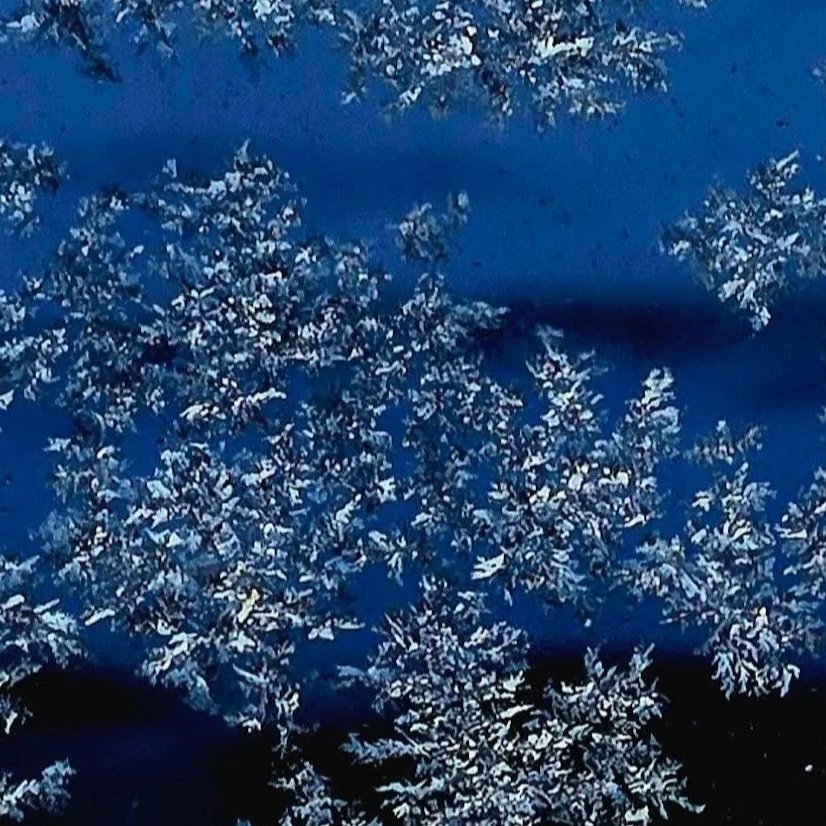 How Does Water Freeze