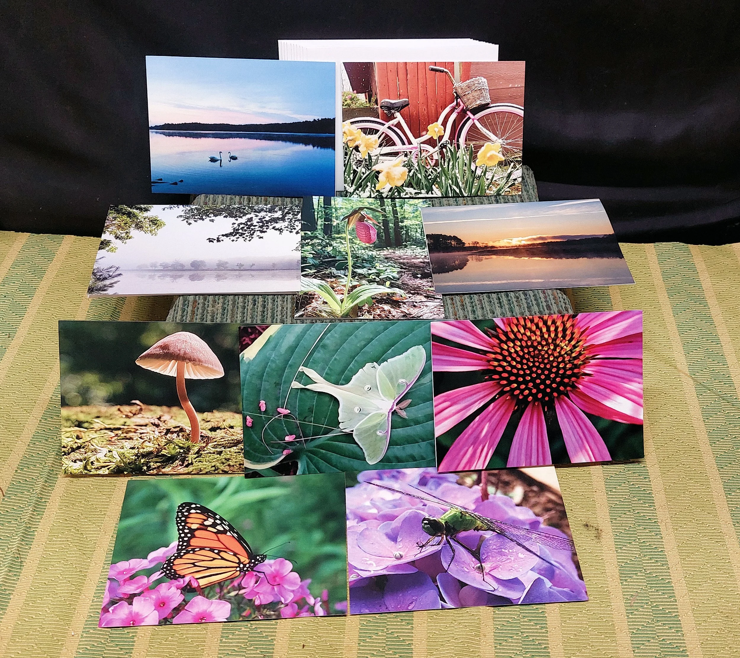 QQLA Photo Contest Note Cards