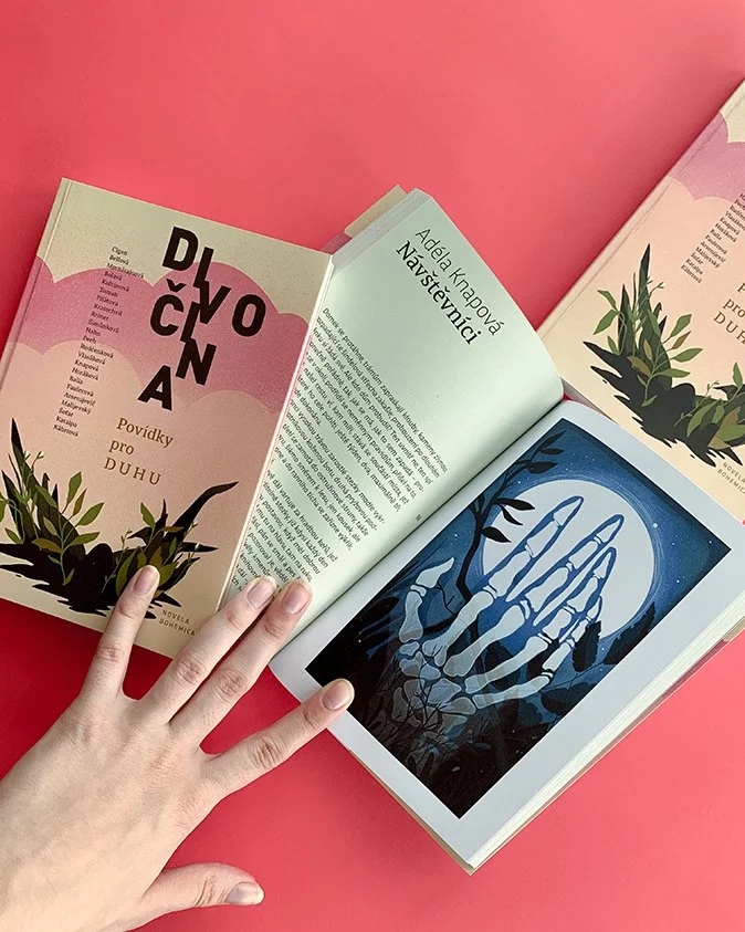 book with an illustrated cover and an illustration inside