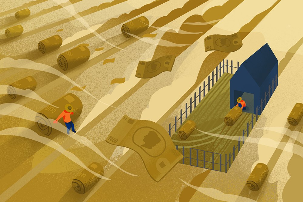 illustration of farmers hiding crops from bad weather. the crops are bank notes