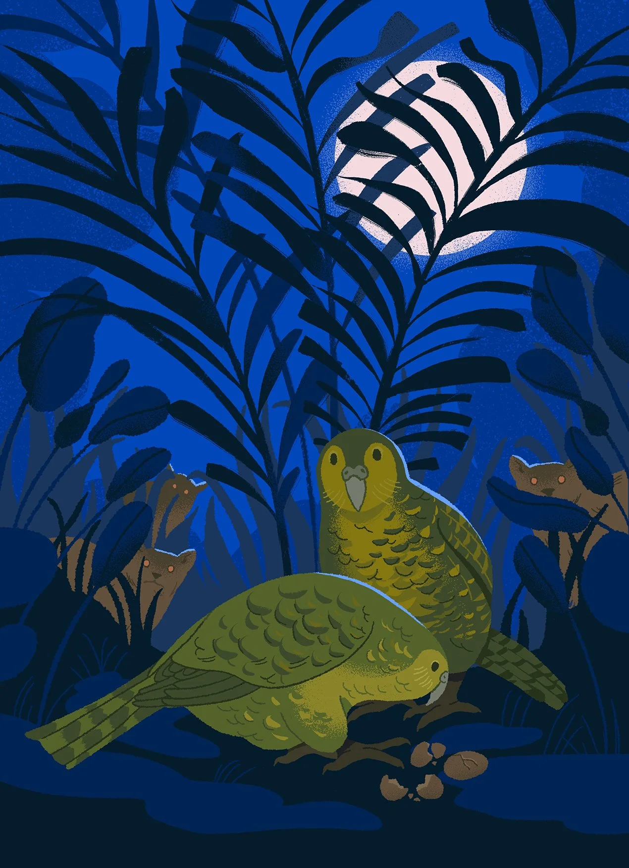 illustration of two kakapo birds in the night