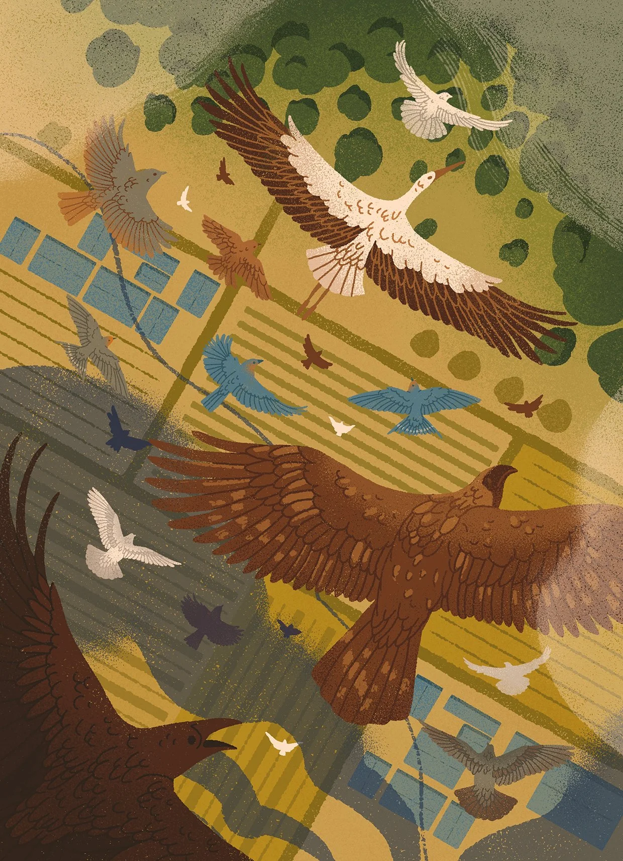 illustration of birds flying above fields