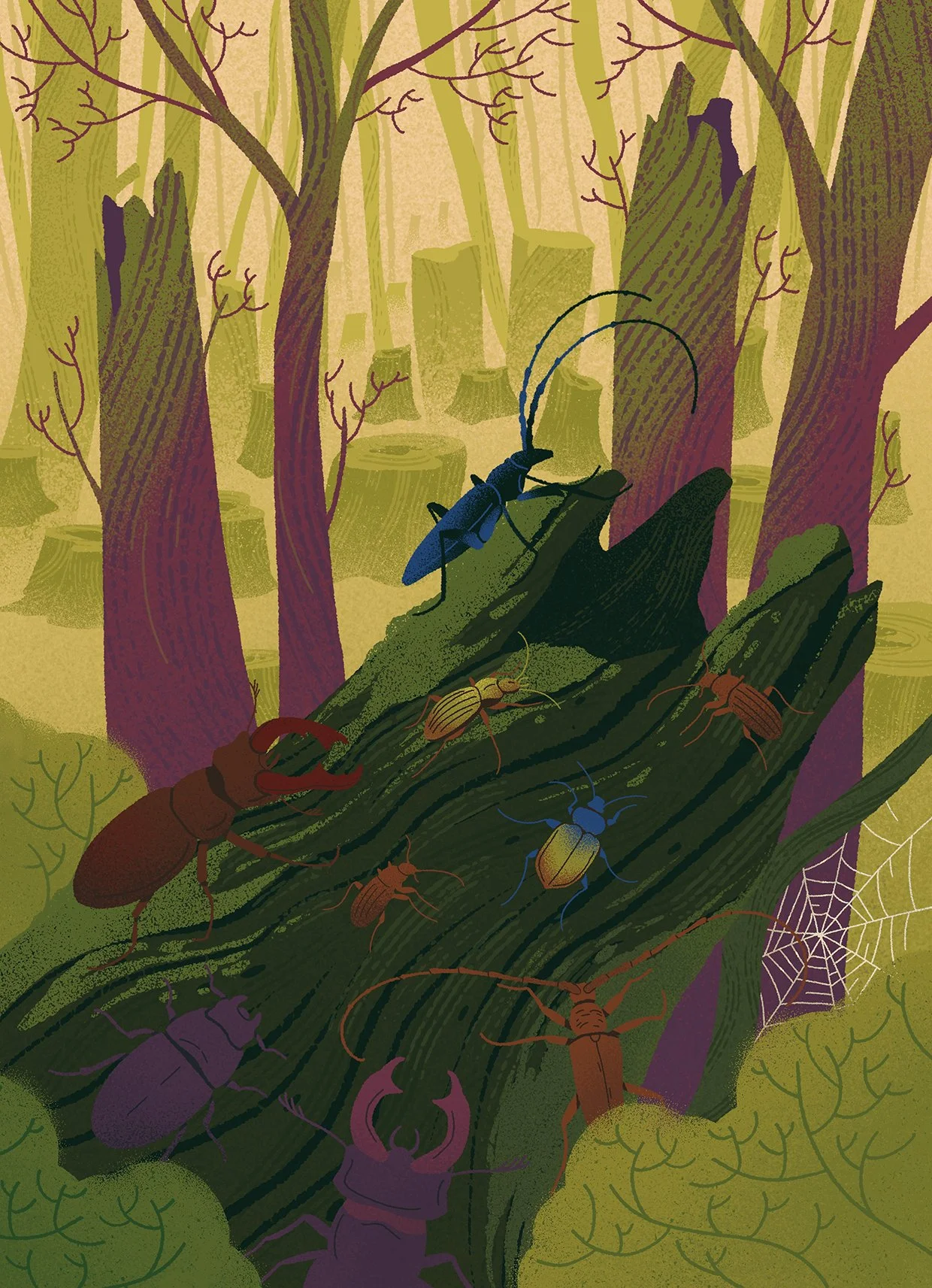 illustration of a forest with a tree branch and bugs
