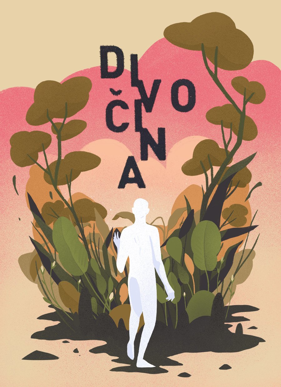 Illustrating Czech Fiction