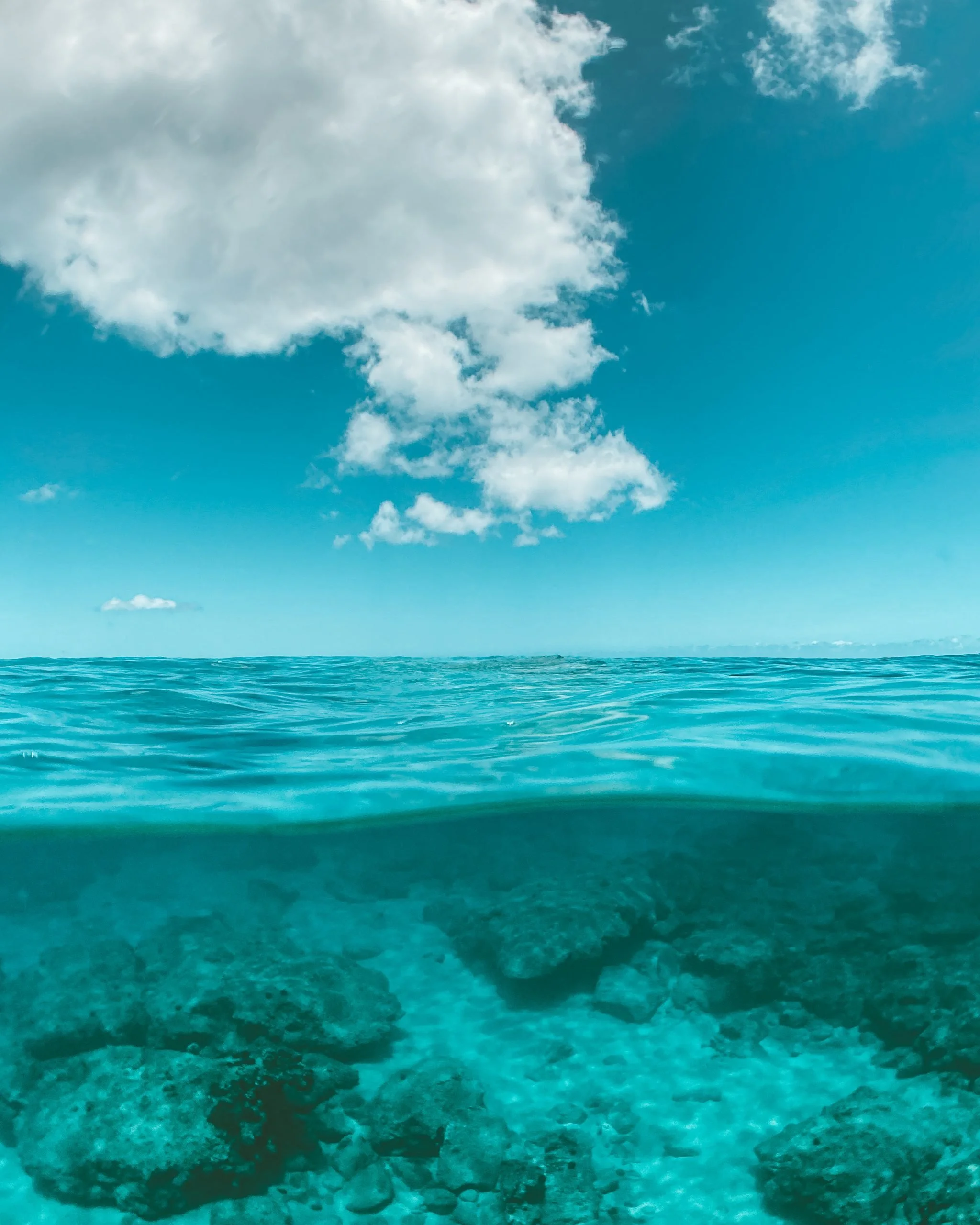 Escape to the Calm of the Caribbean