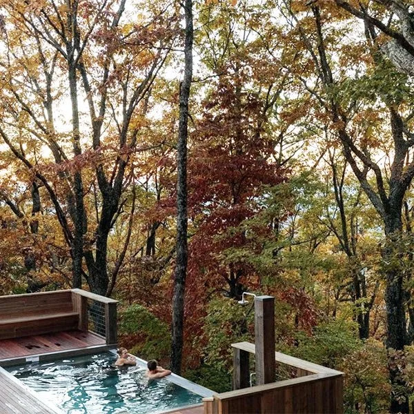 Step into a Luxurious Fall