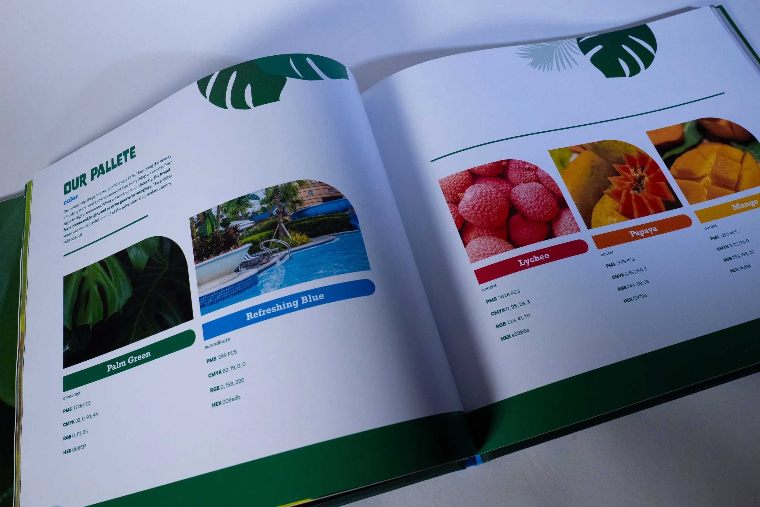Book Photos-2.jpg