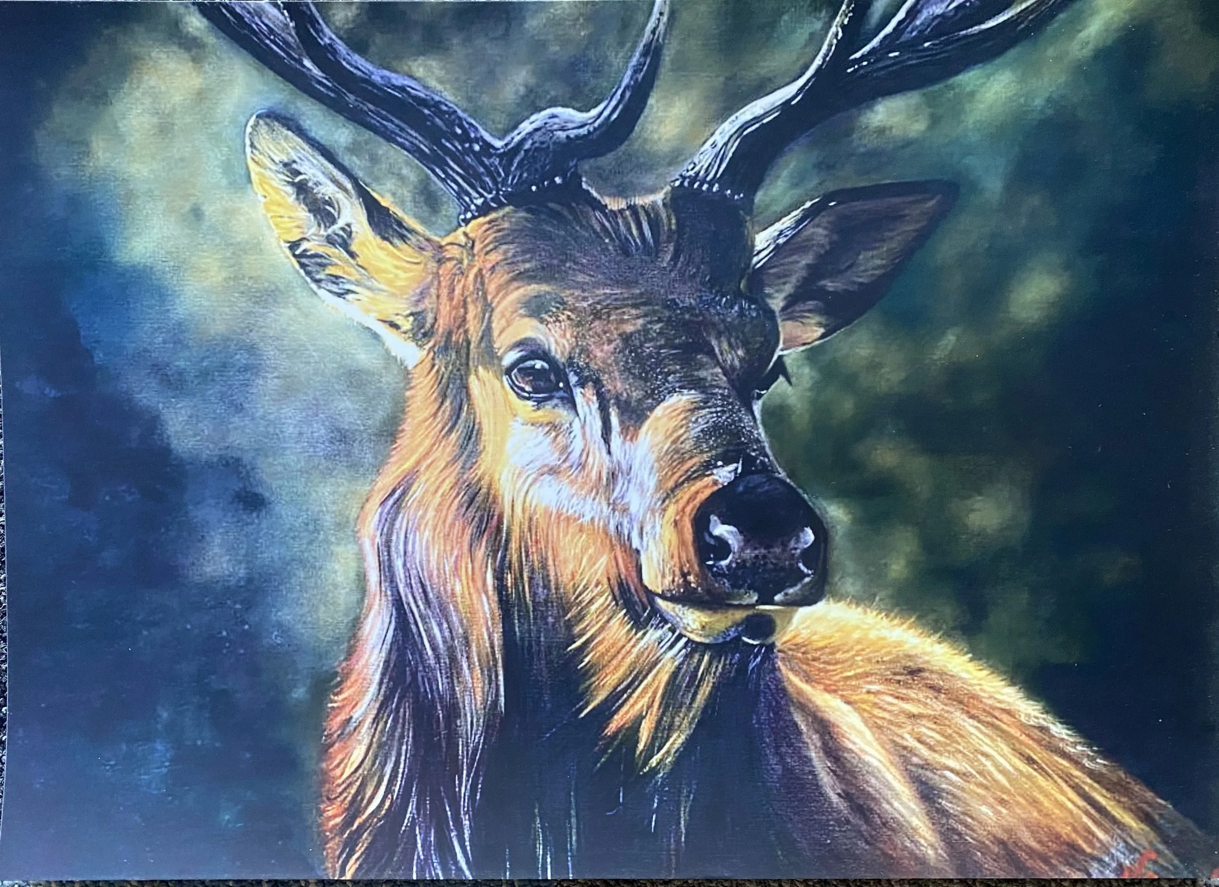 Stag - Fine Art Print - Frame NOT included