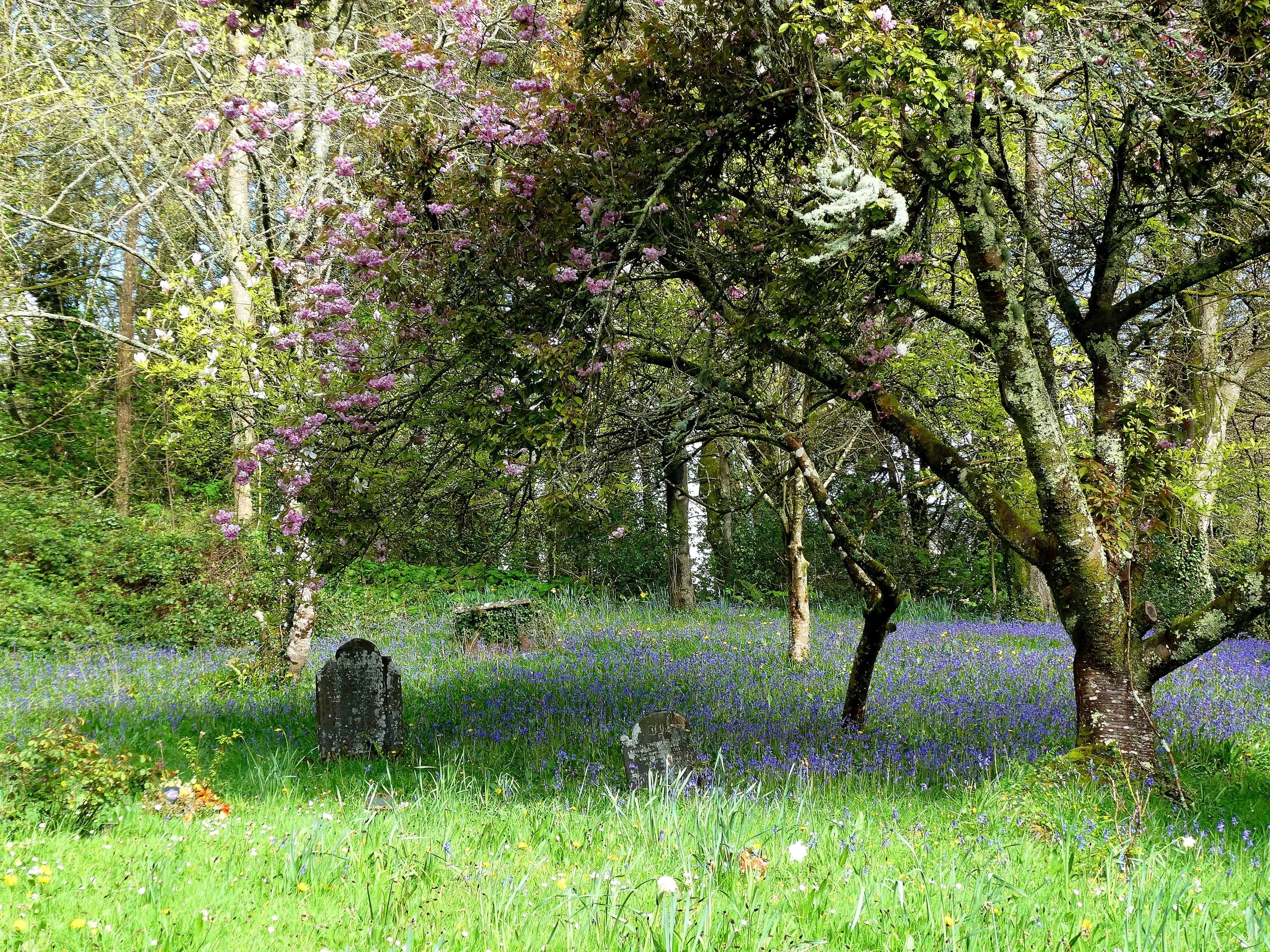 A lush garden with blooming pink and white flowers on trees and a field of purple, blue, and yellow wildflowers on the ground, under a bright blue sky.