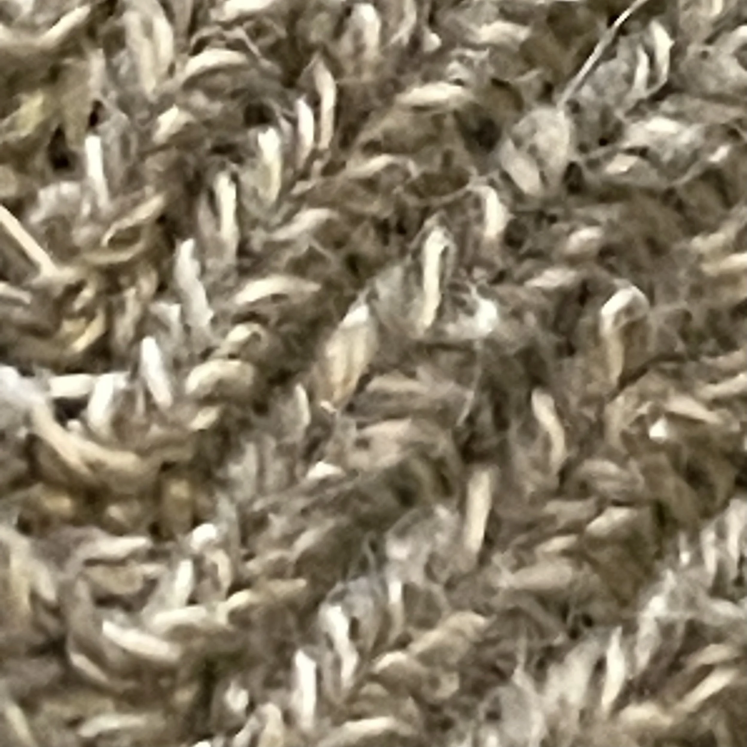 IMG_0378.jpeg