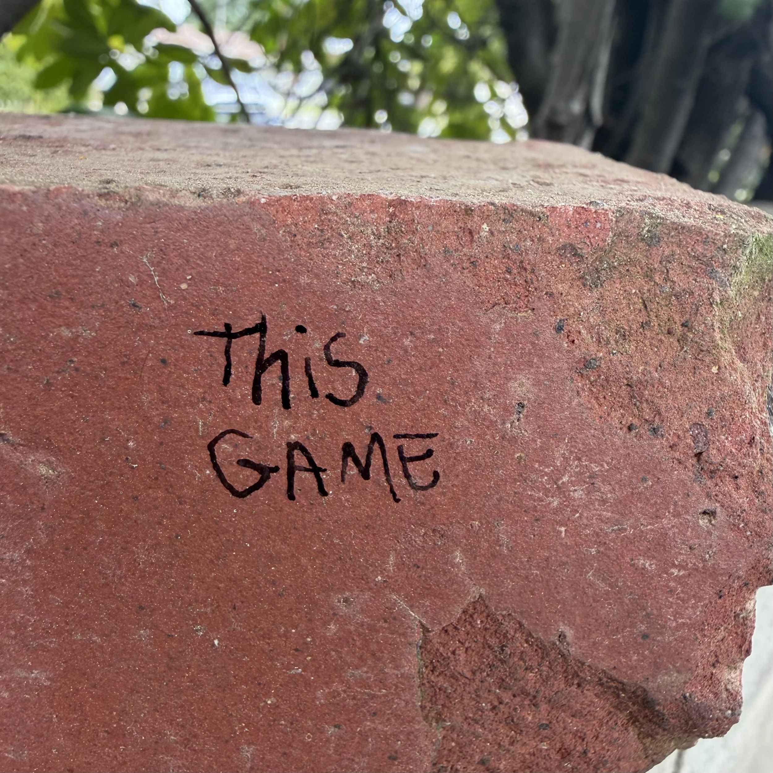 IMG_3566.jpeg