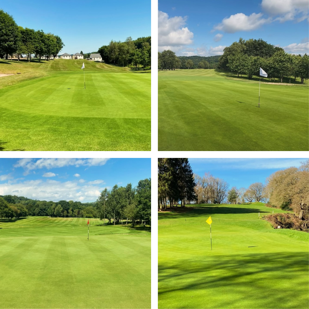 Four golf course images showing fairways, greens, flags, trees, and blue skies.