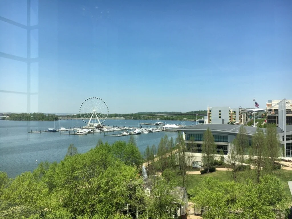 A waterfront cityscape with a Ferris wheel, marina with boats, modern buildings, and green trees under a clear blue sky.