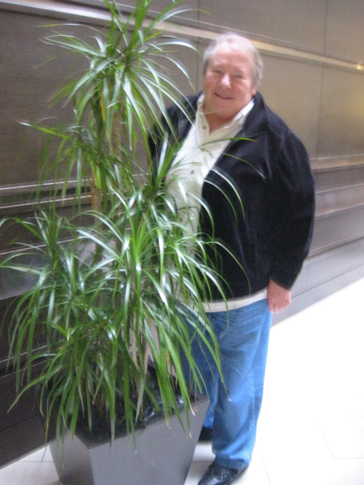 A man with gray hair and a white shirt wearing a black jacket, standing next to a tall green potted plant indoors.