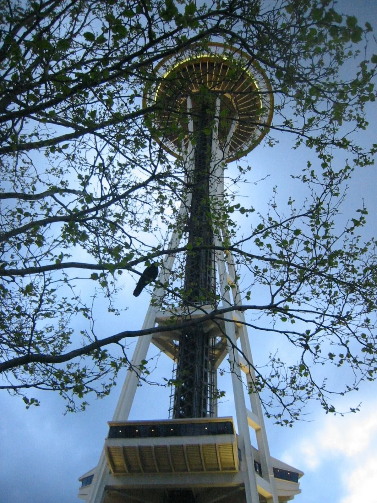 A view of the Space Needle in Seattle, Washington, taken from below through tree branches.