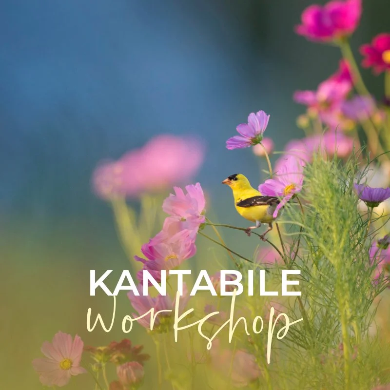 Kantabile Workshop™