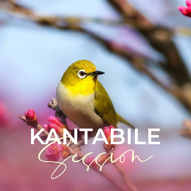 Kantabile Session™