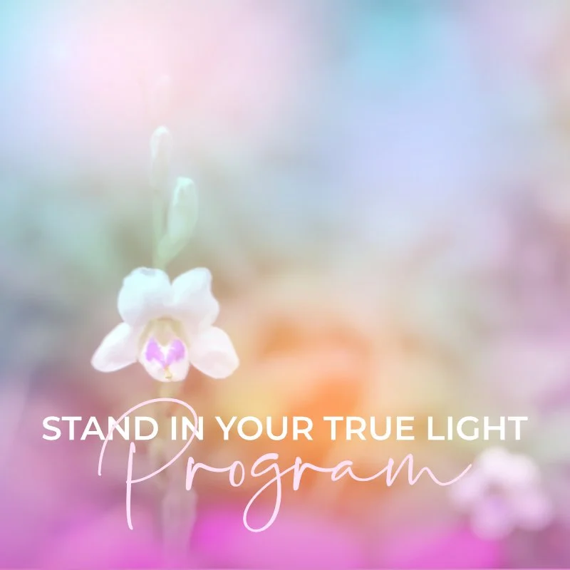 Stand in Your True Light Program