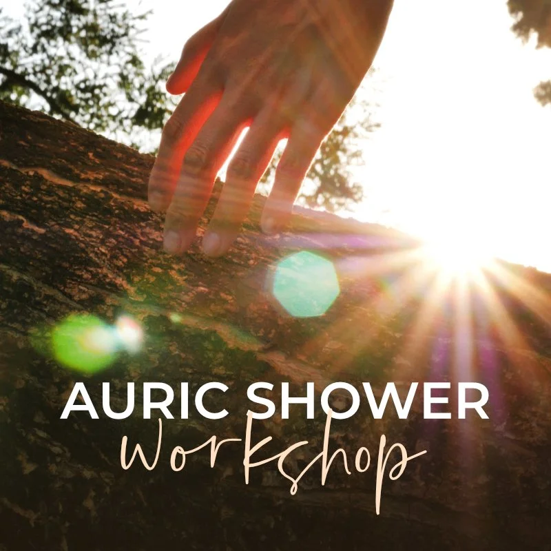 EmanuelaHauth-WebShop-auricshower-workshop.jpg