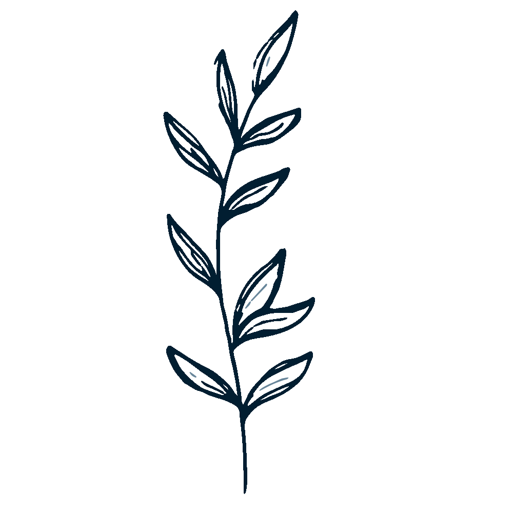 A simple line drawing of a plant with several elongated leaves on a dark background.