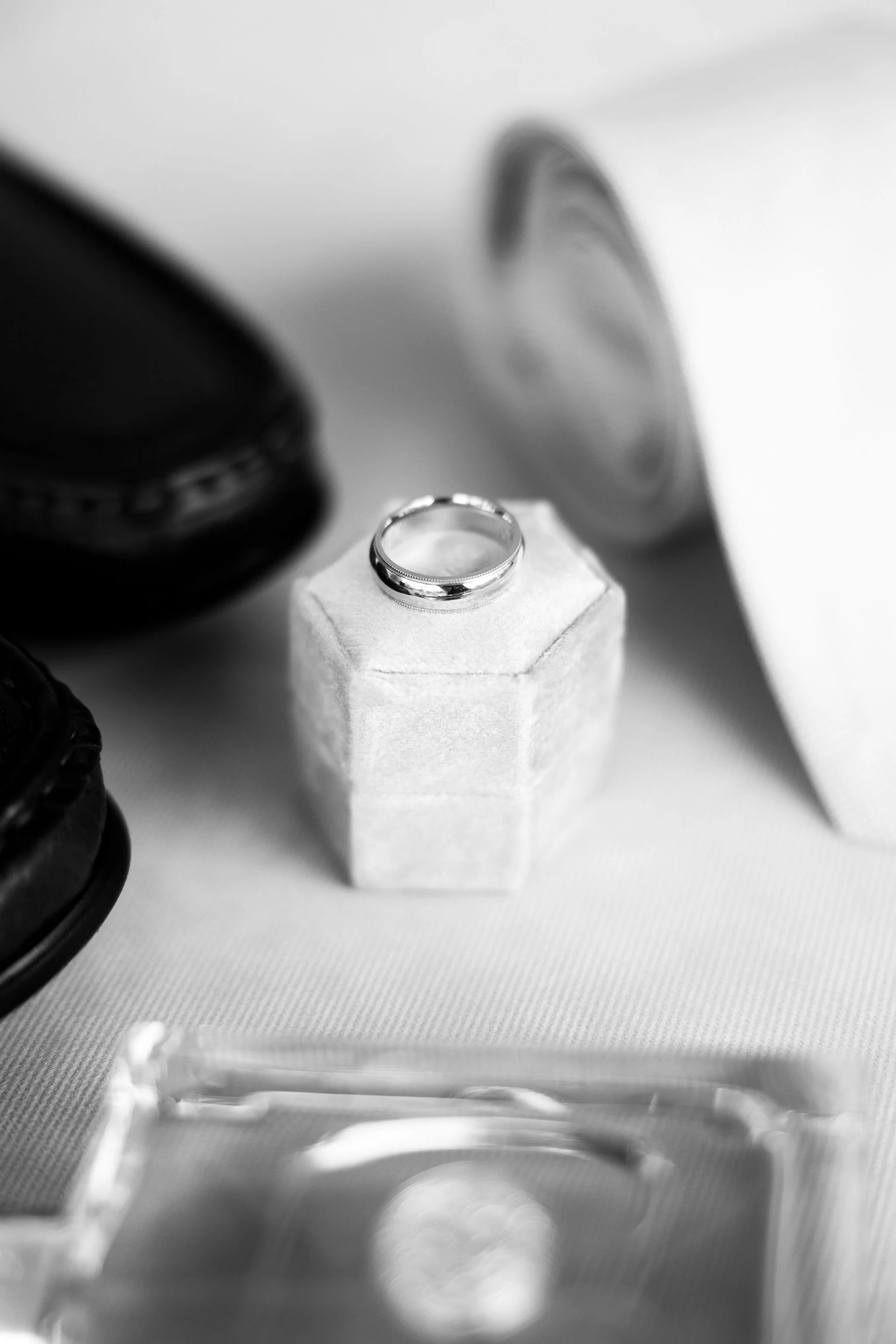 874A5154-2.jpg