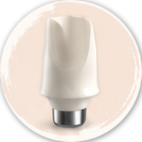 PDA_ZIR_ABUTMENT