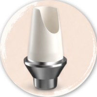 PDA_HYBRID_ABUTMENT