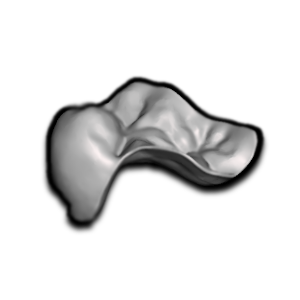 A 3D rendered image of a human ear, showing the outer ear structure in grayscale.