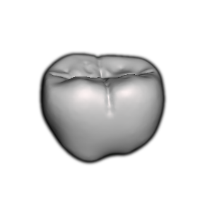 A metallic or ceramic object resembling a human molar tooth