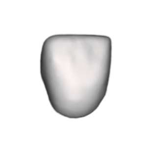 Close-up of a white tooth with a black background.