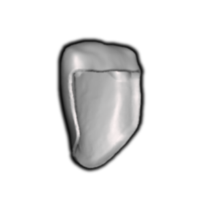 A shiny, metallic, silver-colored object with a rounded top and a rectangular lower section, resembling a small container or decorative item, against a black background.