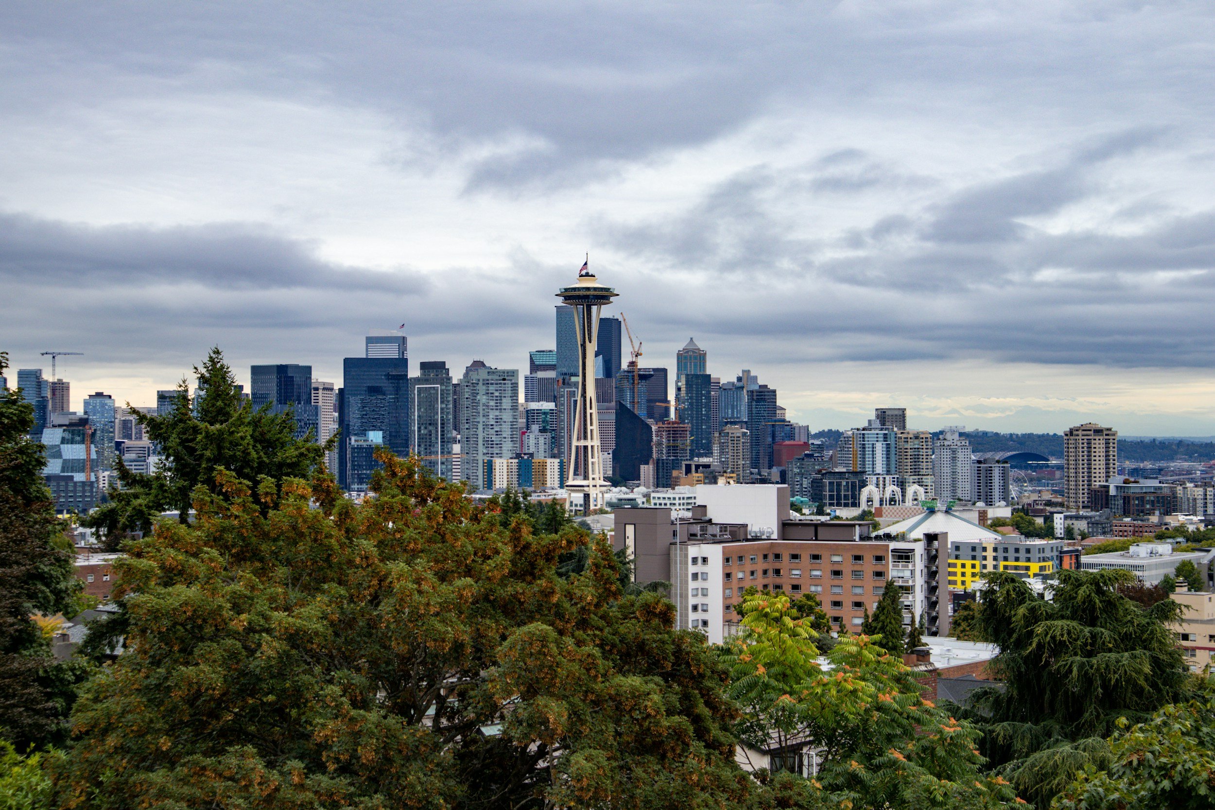 The Seattle Space Needle in the background surrounded by buildings and trees.