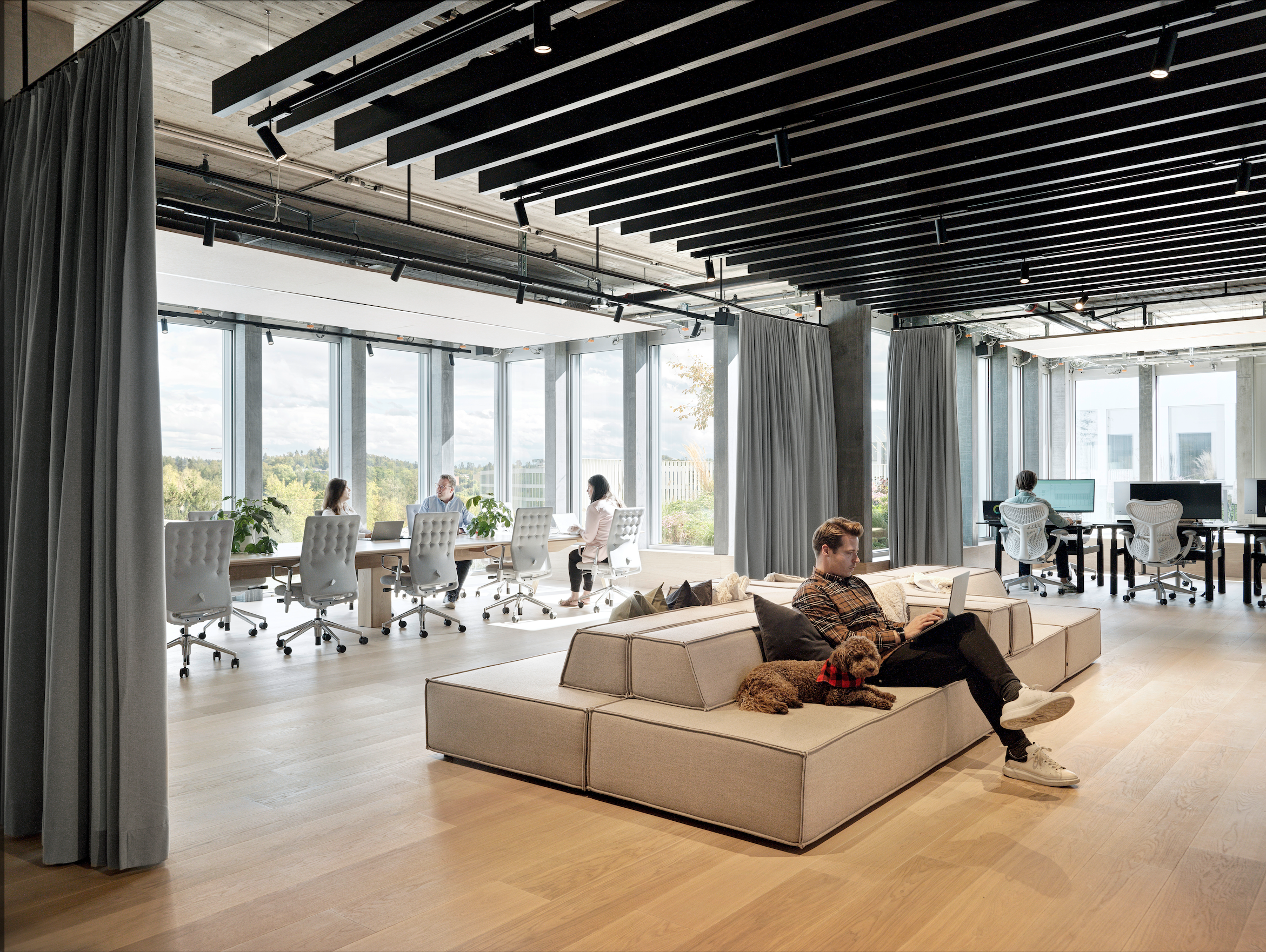 Modern office with large windows, people working on computers, and a person lying on a sofa with a dog.