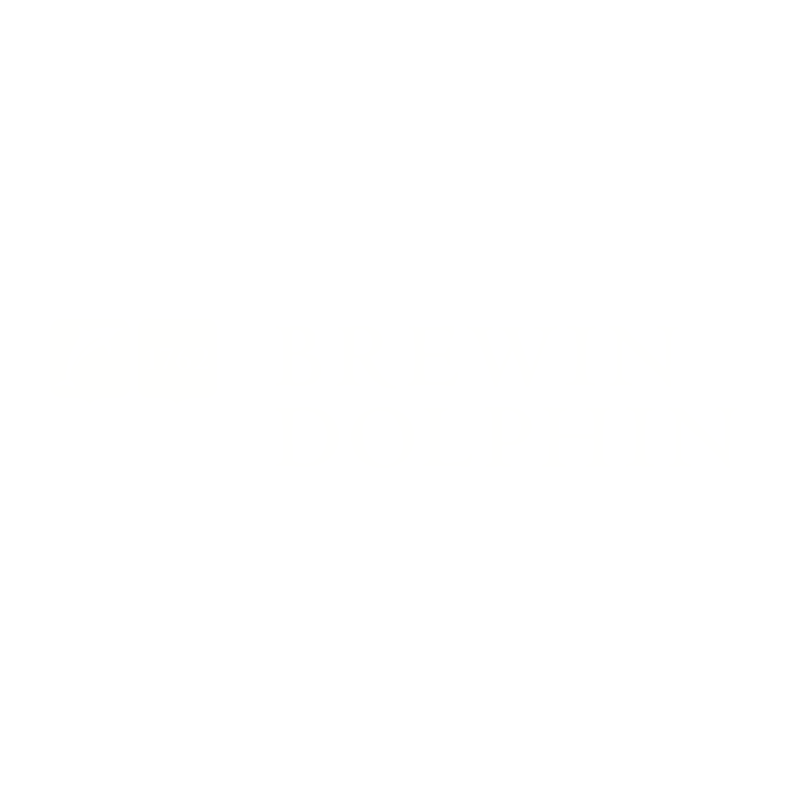 Black logo with a dolphin and the text 'Brewin Dolphin' and '1762' in white