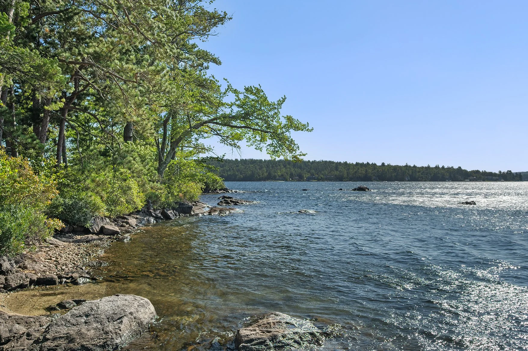 DSC_6455.jpg