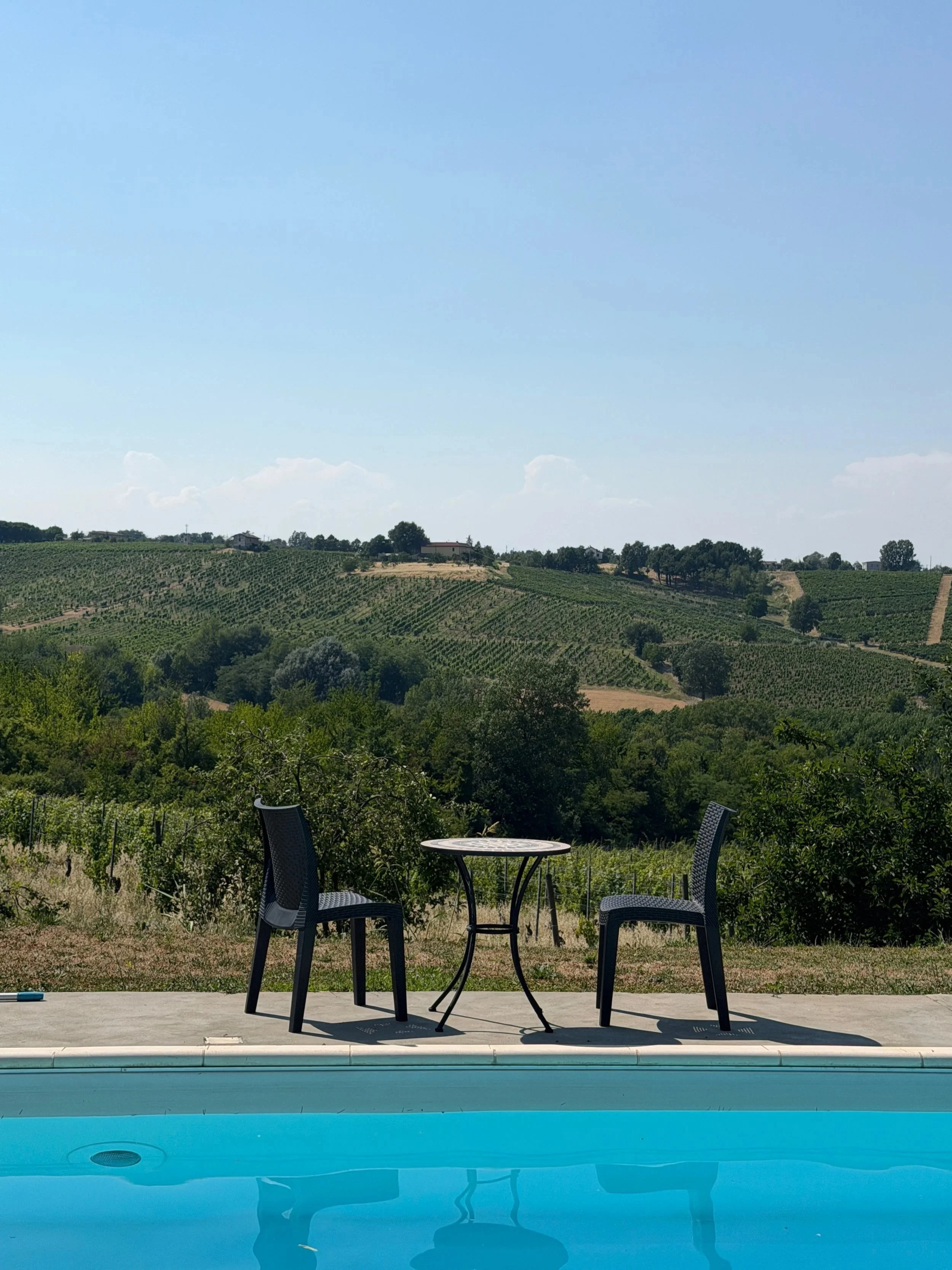 Villa pool and the surround vineyards