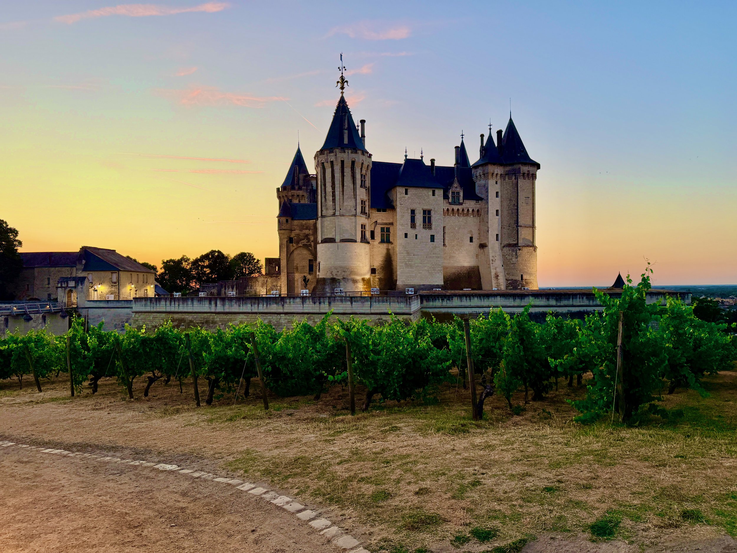 Vineyards at the Saumur Chateau in the Loire Valley