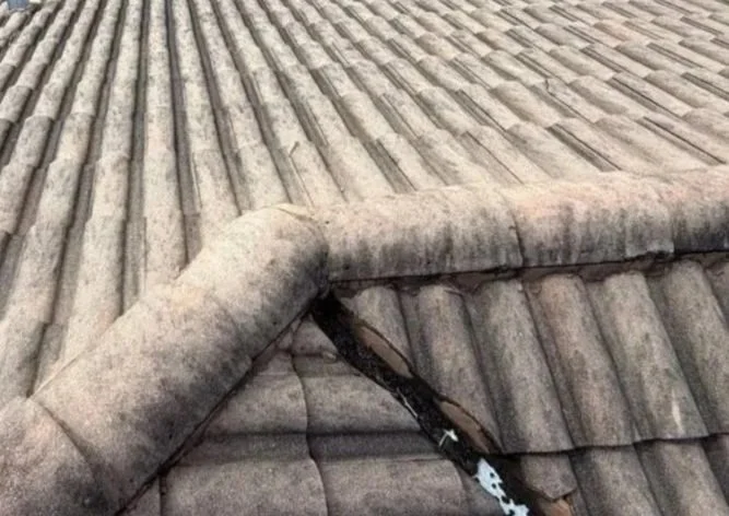 Close-up of a damaged section of a tiled roof with a cracked and broken tile and visible water leaking through.