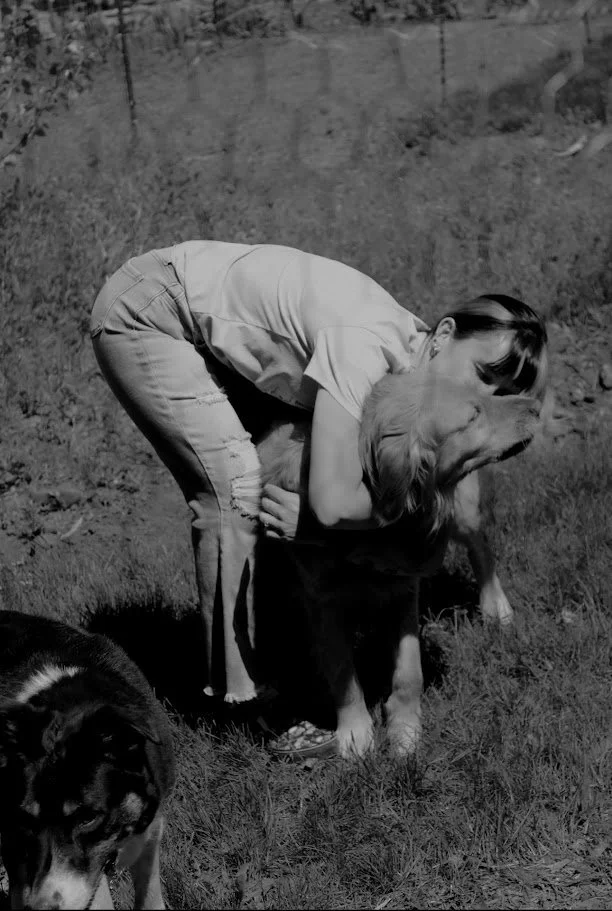Person bending down hugging a large Golden Retriever dog outdoors in a grassy area